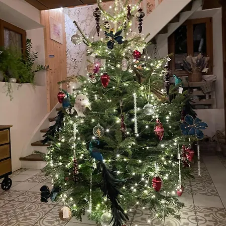 Séjour chez l'habitant Tiers Lieu 59 Grand Rue Bouxwiller (Bas-Rhin)